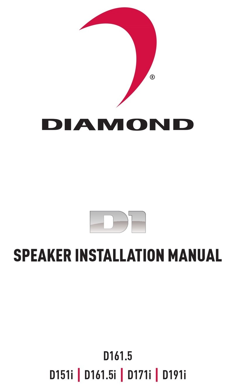 Diamond Audio Technology D161.5 User manual