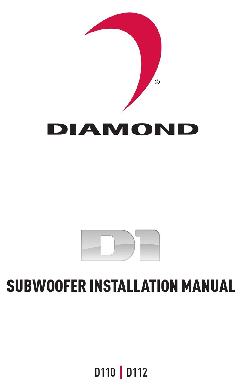 Diamond Audio Technology D110 installation manual
