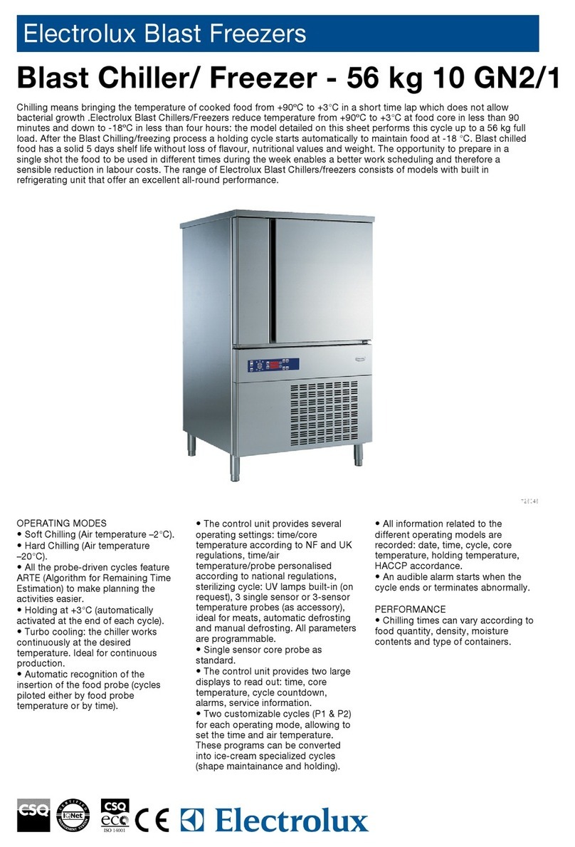 Electrolux 10 GN2/1 User manual