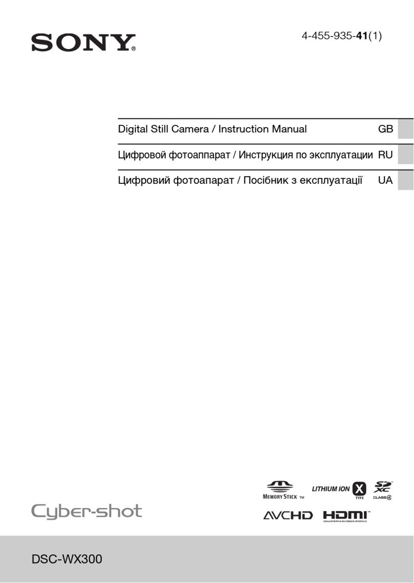 Sony DSC-WX300 Installation instructions manual