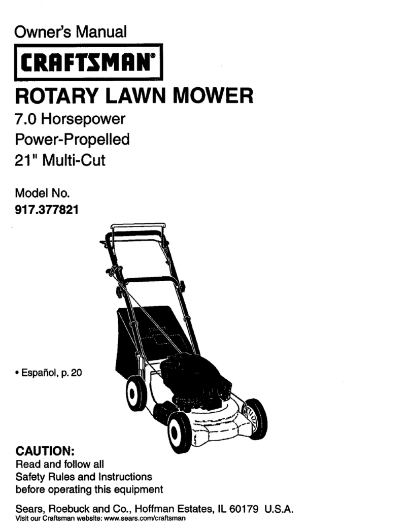 Craftsman 917.377821 User manual