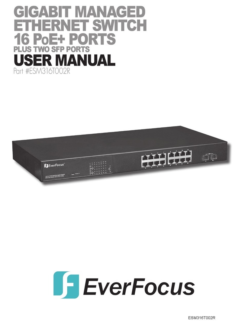 EverFocus ESM316T002R user manual