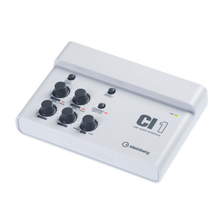 Steinberg CI1 Operation manual