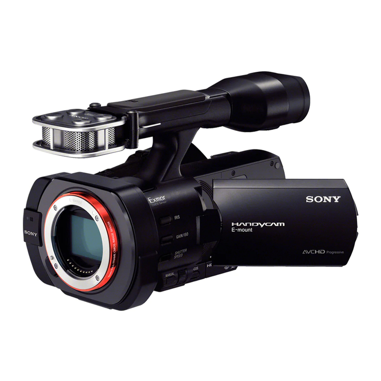 Sony Handycam NEX-VG900 User manual