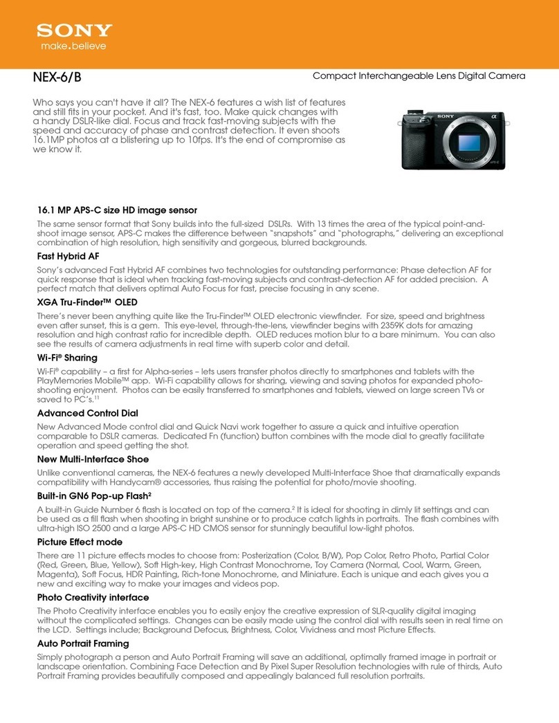 Sony Alpha NEX-6 User manual