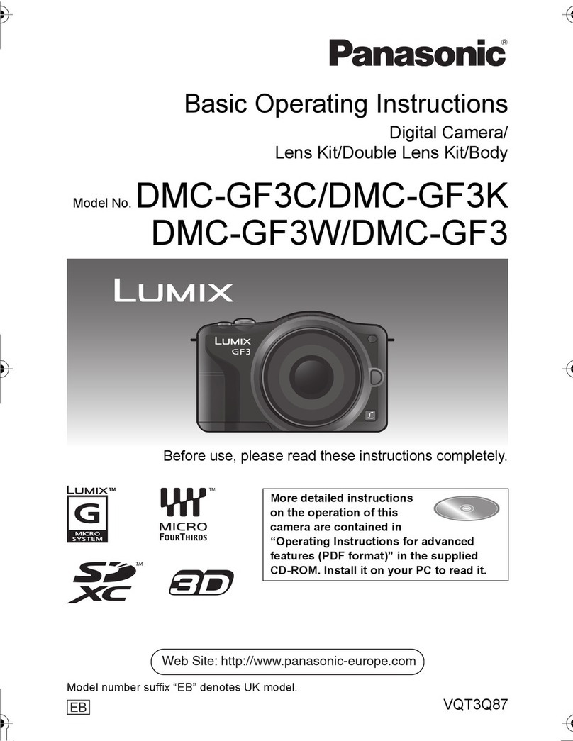 Panasonic DMC-GF3XK Technical specifications