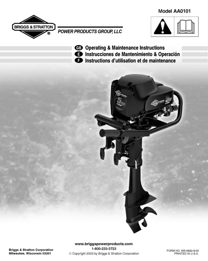 Briggs & Stratton AA0101 operating & maintenance manual