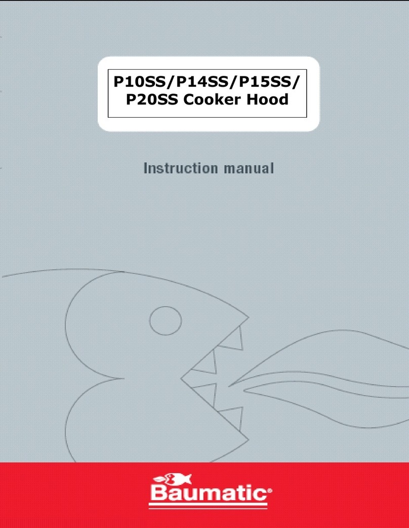 Baumatic Pythagora P10SS User manual Baumatic Pythagora P10SS User manual