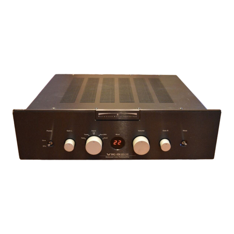 Balanced Audio Technology VK-5SE owner's manual