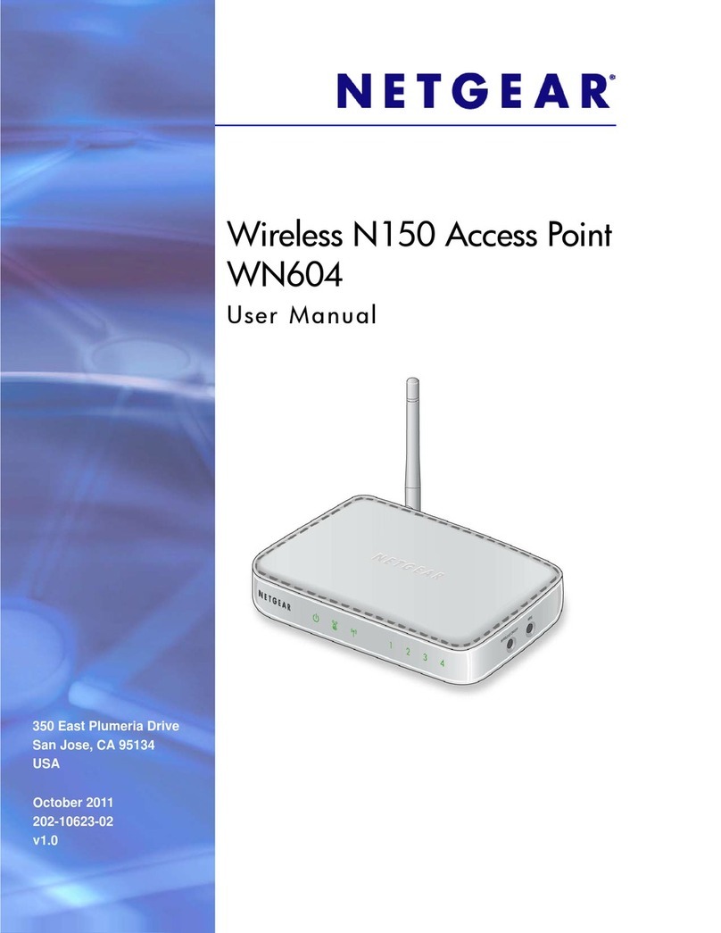NETGEAR WN604-100NAS User manual