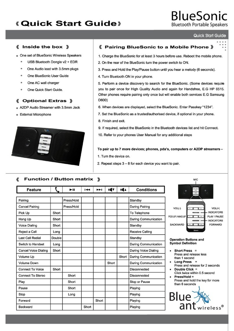 Blueant BLUESONIC User manual