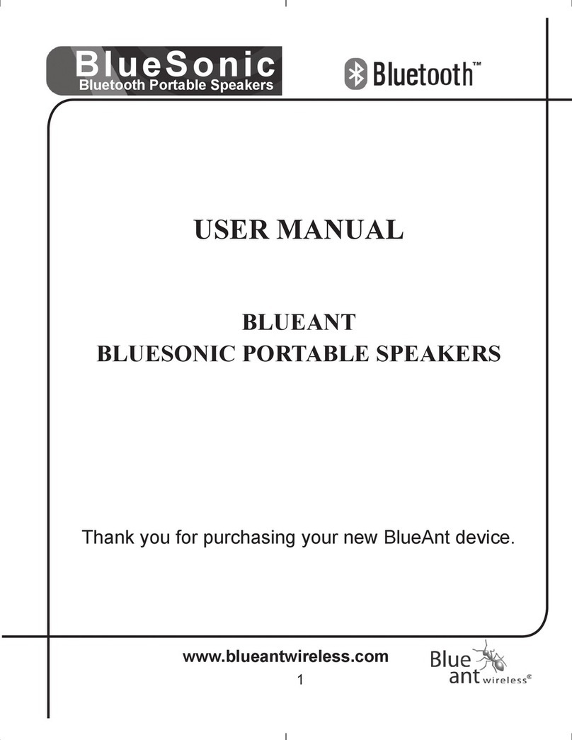 Blueant BLUESONIC User manual