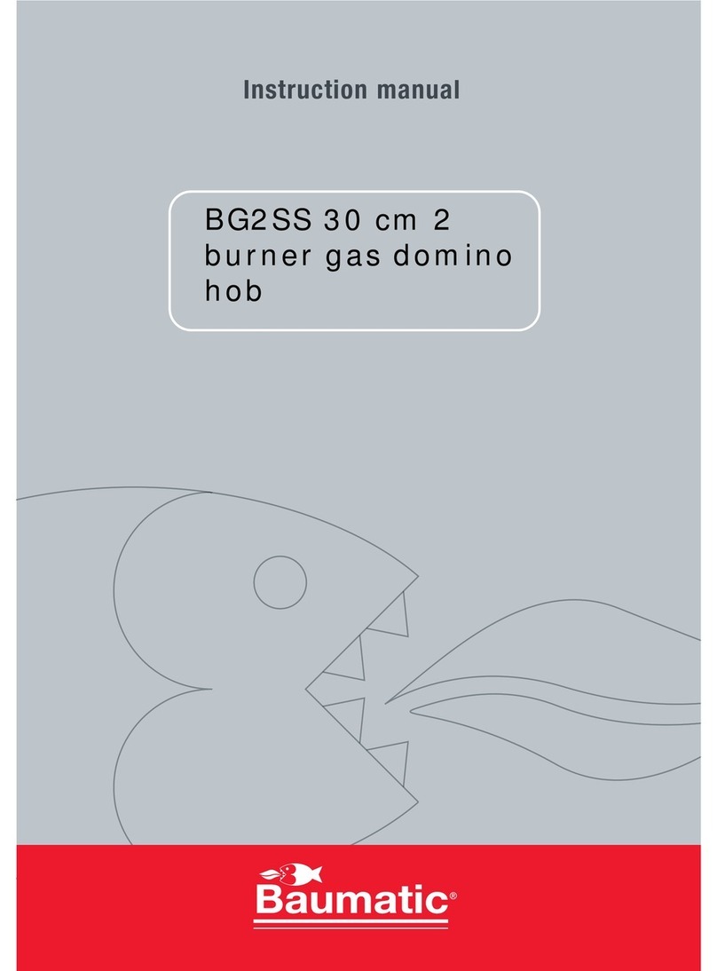 Baumatic BG2SS User and installation instructions