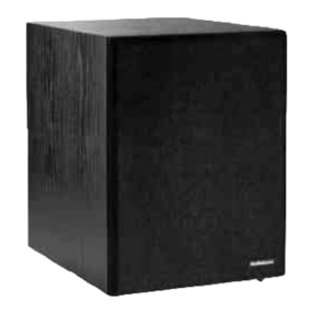 AudioSource SW Two User manual