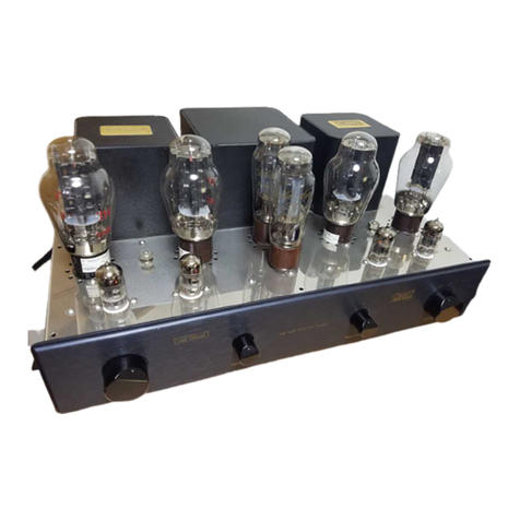 Cary Audio Design CAD-300SSE User manual