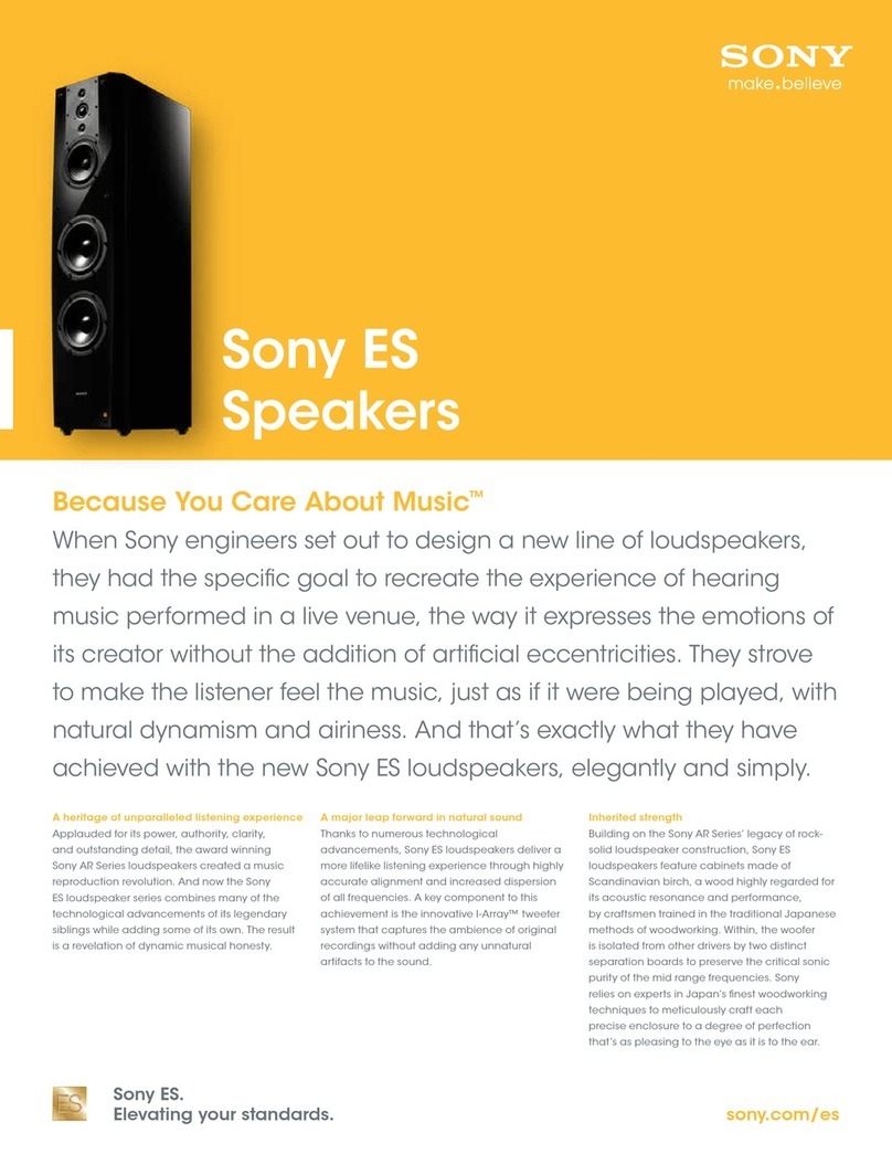 Sony SA-NA9ES Specifications