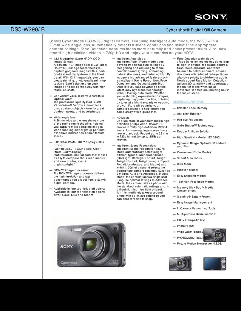 Sony DSC-W290/B User manual