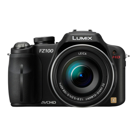 Panasonic LUMIX DMC-FZ100 Technical specifications