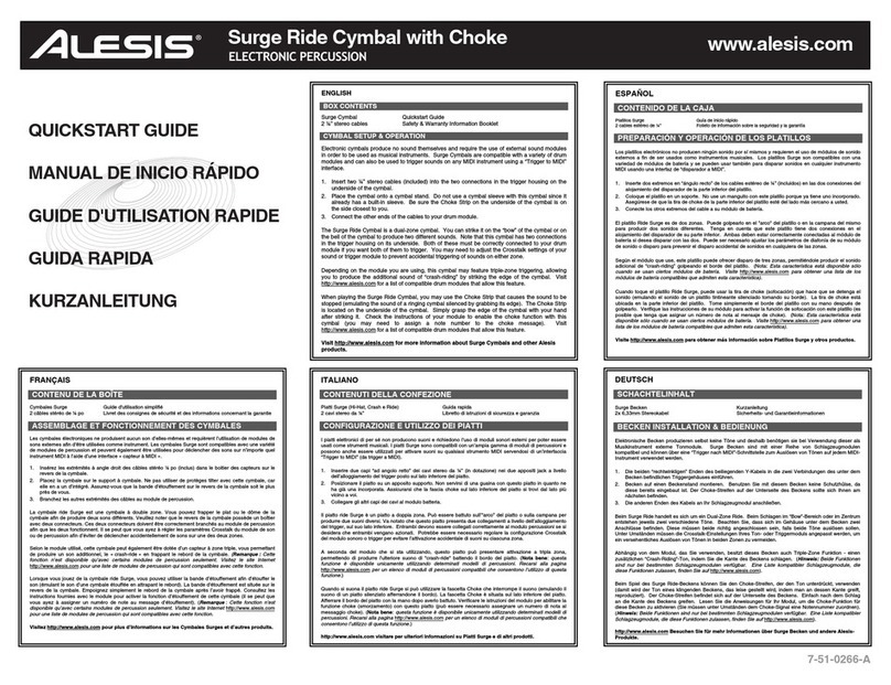 Alesis Surge Ride Cymbal with Choke User manual