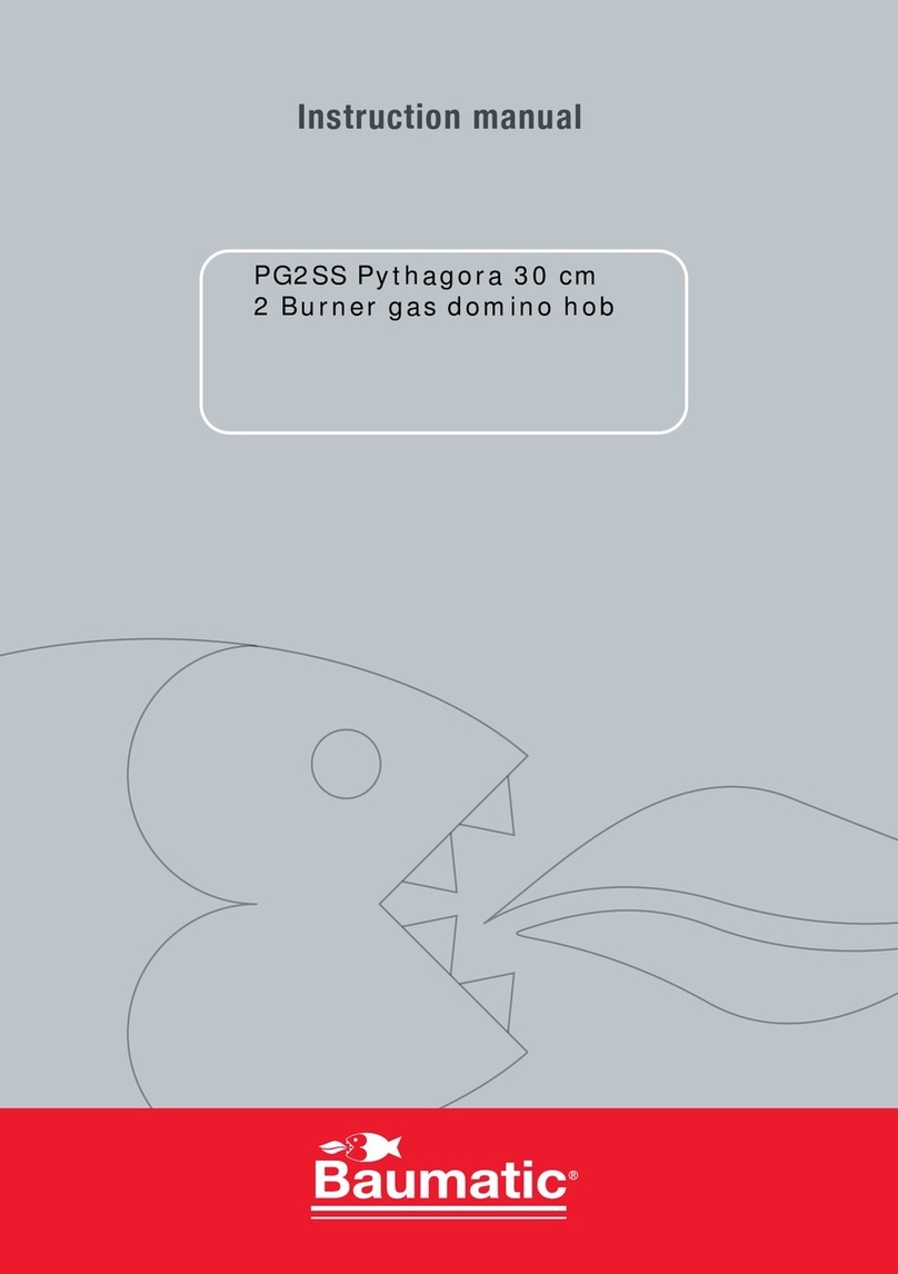 Baumatic PG2SS User manual Baumatic PG2SS User manual