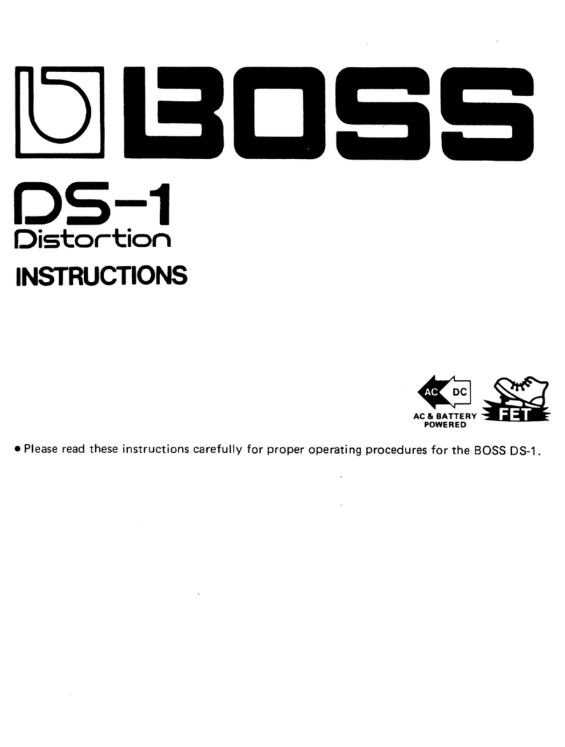 BOSSCO DS-1 User manual