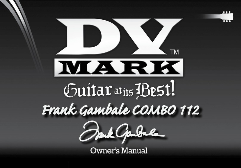 DV Mark Frank Gambale Combo 112 owner's manual