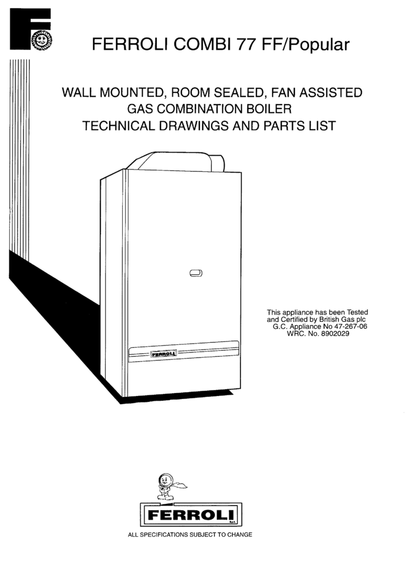 Ferroli Combi 77 FF Installation