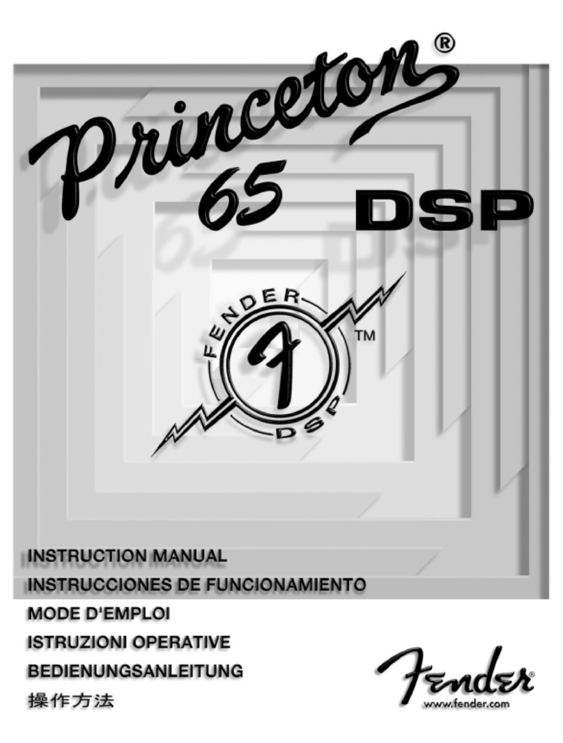 Fender Princeton 65 DSP User manual