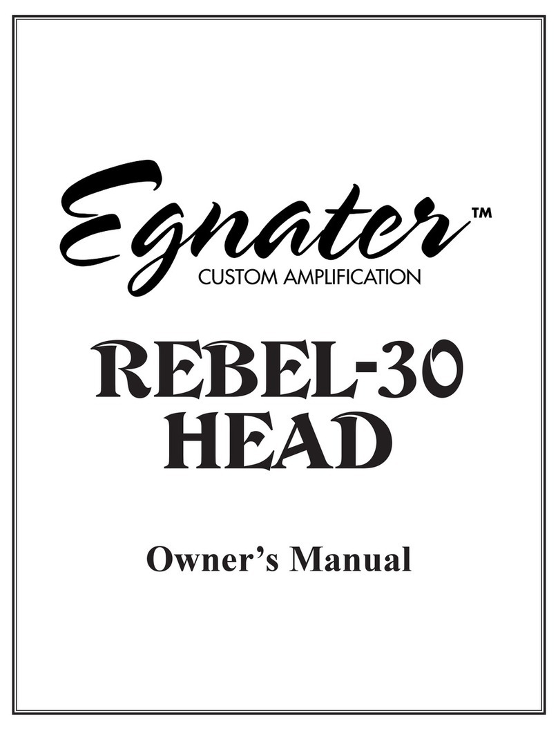 Egnater Rebel-30 Head User manual