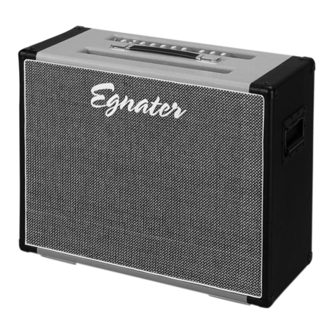 Egnater Rebel-30 Head owner's manual