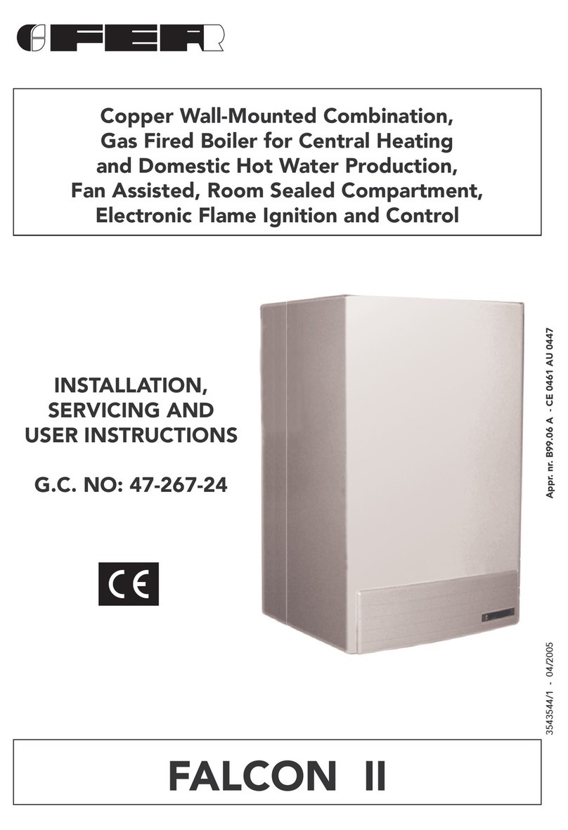 Ferroli Falcon II User guide Ferroli Falcon II User guide
