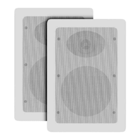 AudioSource IW5S User manual