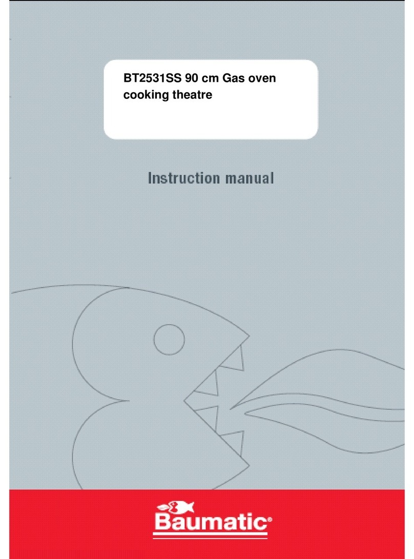 Baumatic BT2531SS User manual