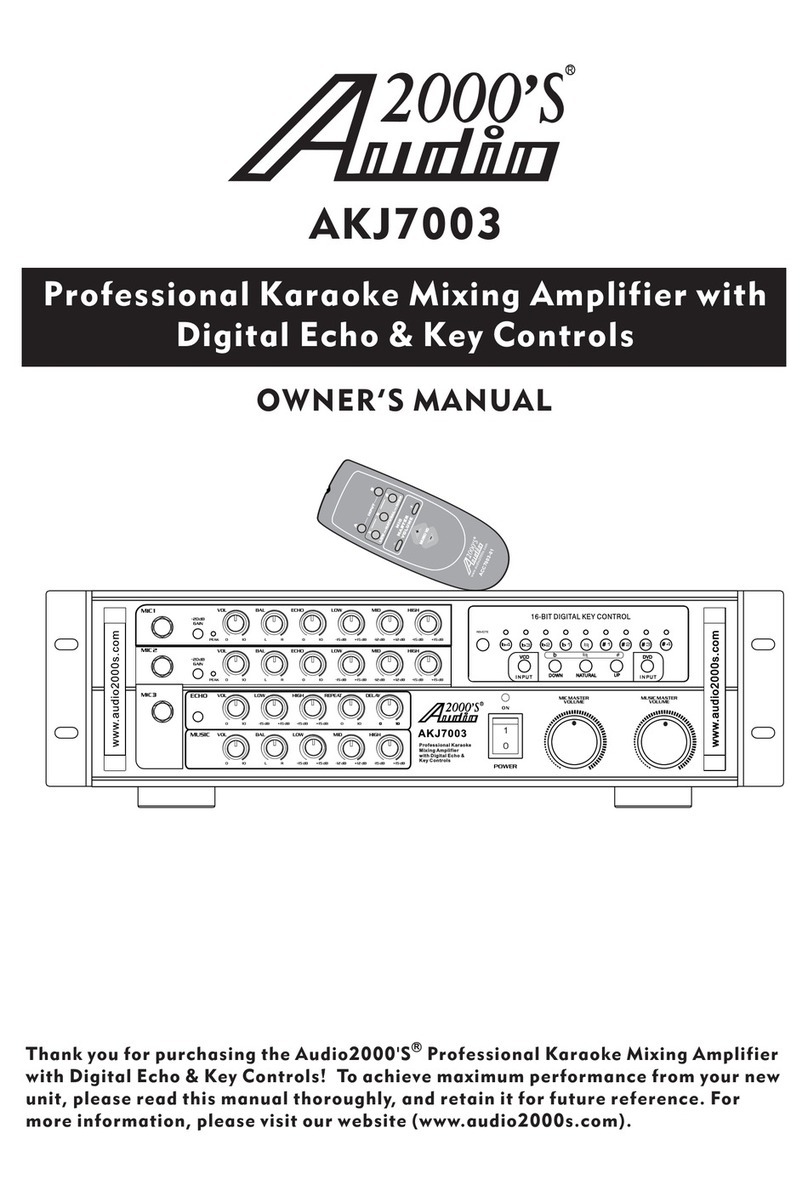 Audio2000's AKJ7003 User manual