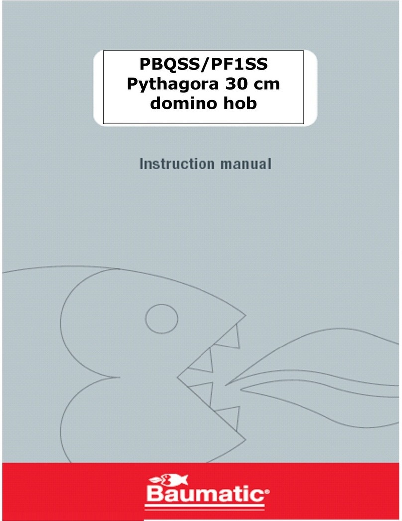 Baumatic Pythagora PF1SS User manual