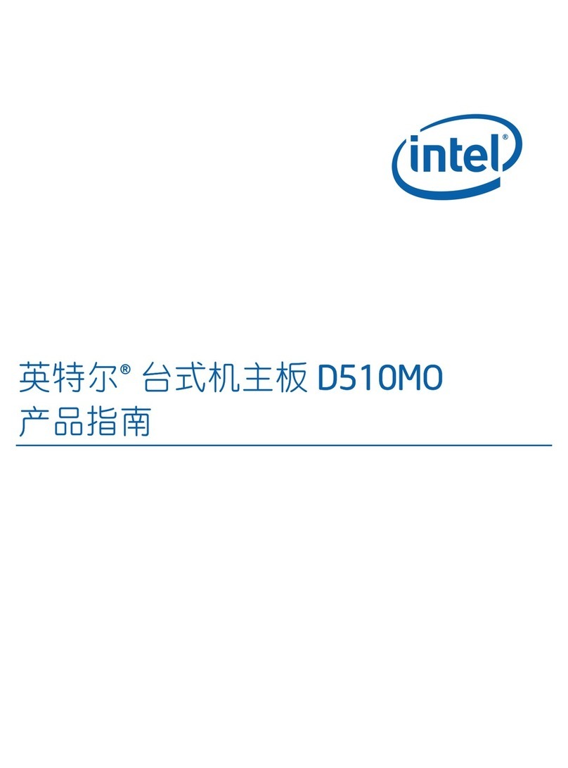 Intel D510MO 