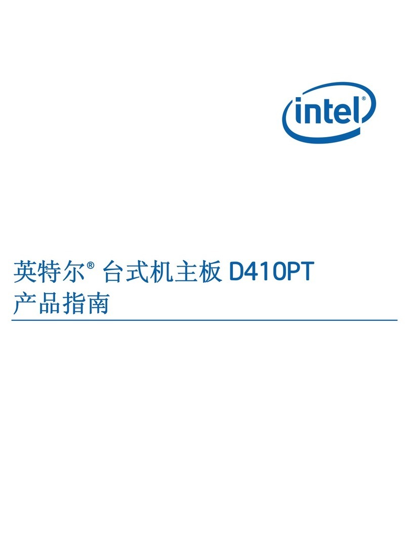 Intel D410PT User manual
