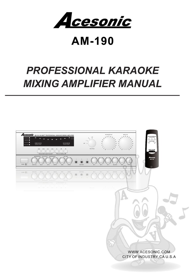 Acesonic AM-190 User manual
