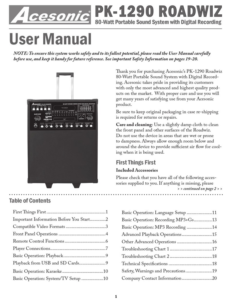 Acesonic PK-1290 ROADWIZ user manual
