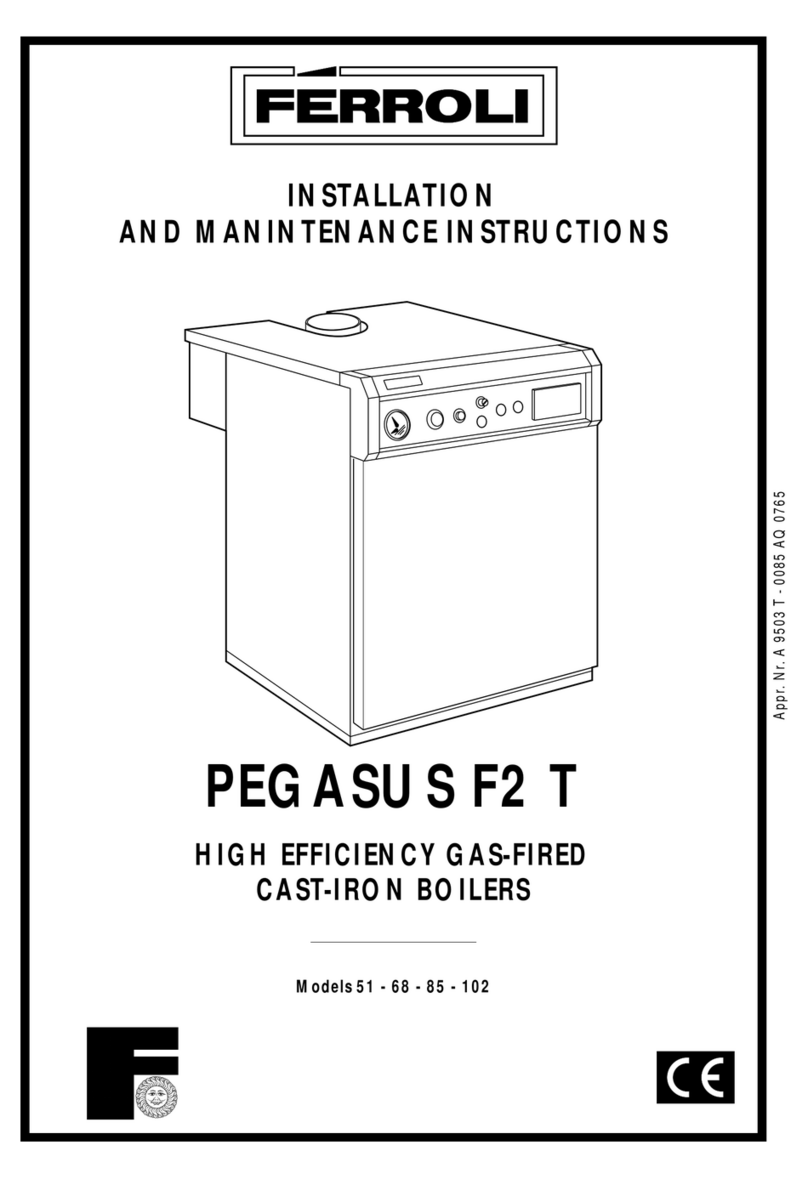 Ferroli PEGASUS F2 T Installation and manintenance instructions
