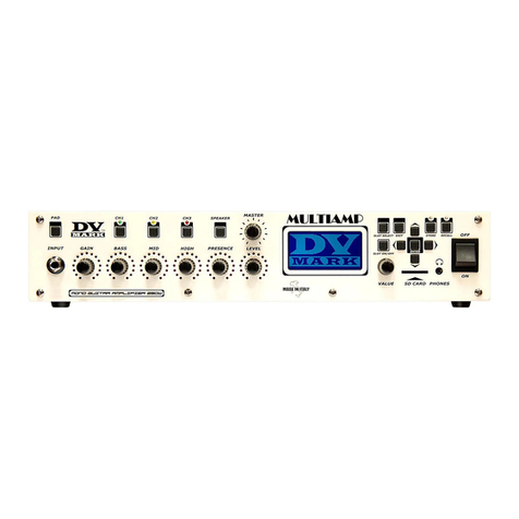 DV Mark MULTIAMP Ower's manual