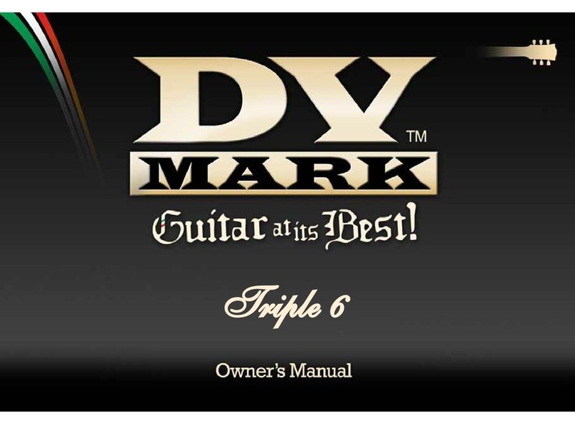 DV Mark Friple 6 owner's manual
