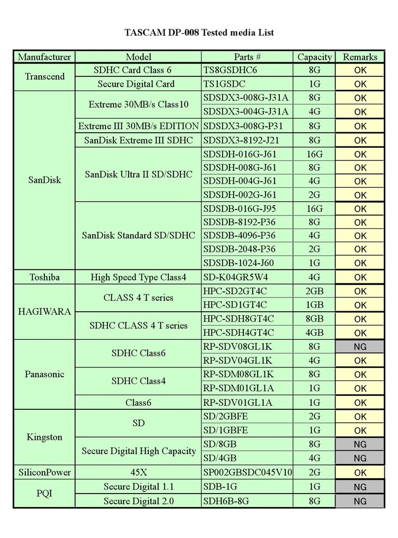 Tascam DP-008 manual