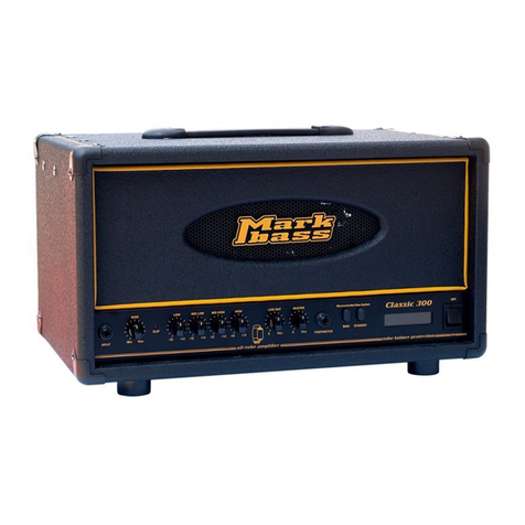 Mark Bass CL 810 Review