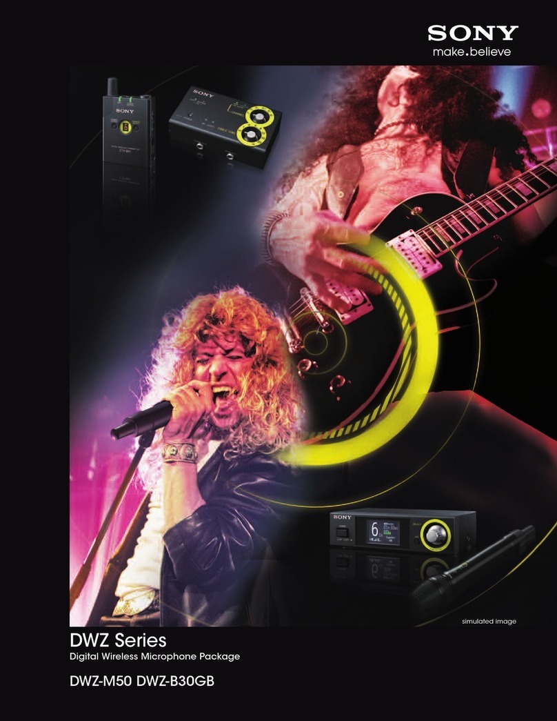 Sony DWZB30GB brochure