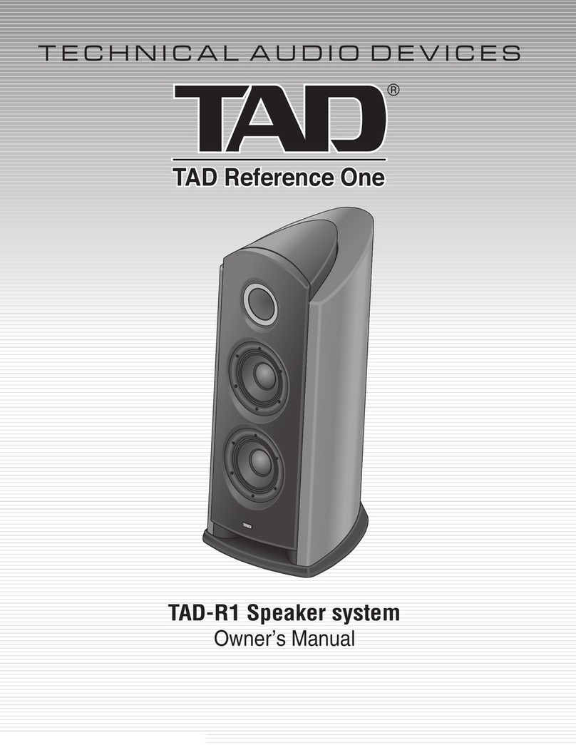 TAD TAD-R1 User manual