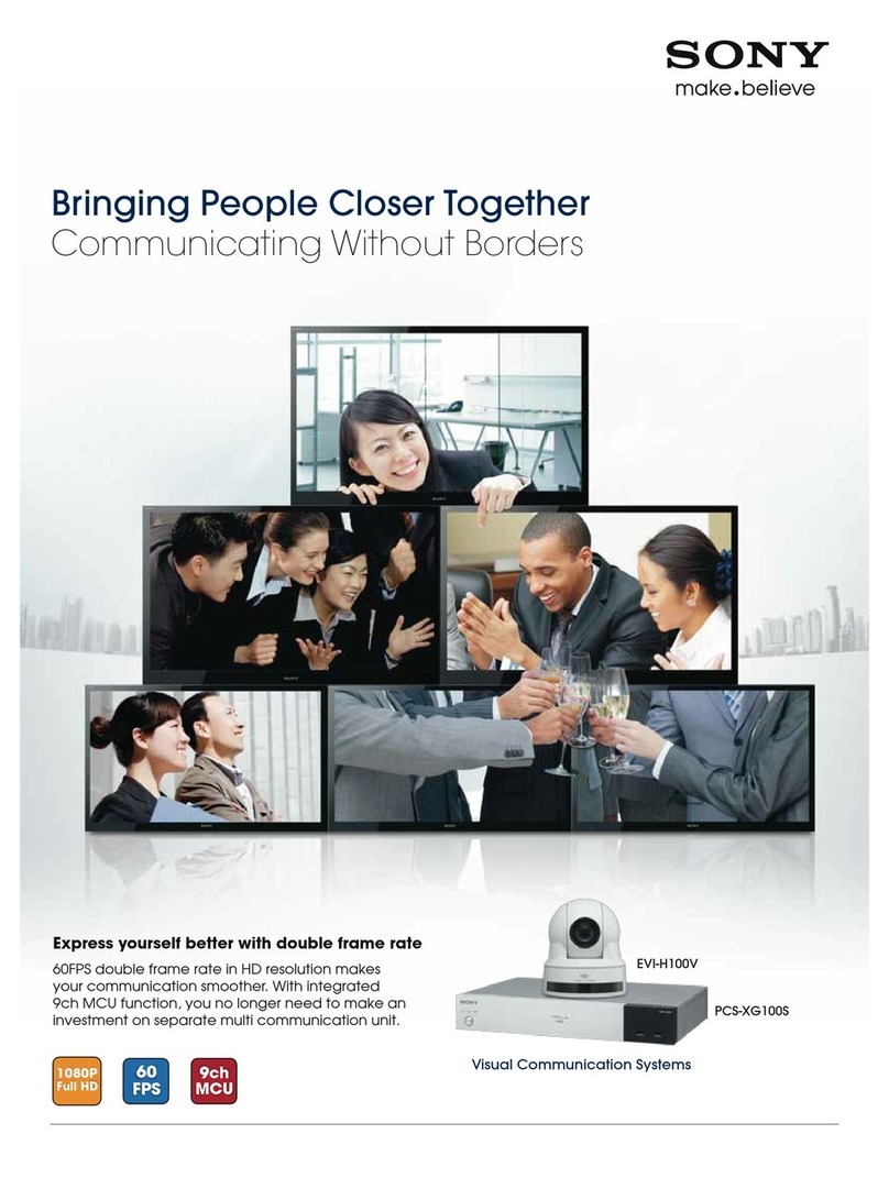 Sony PCSXG100S brochure