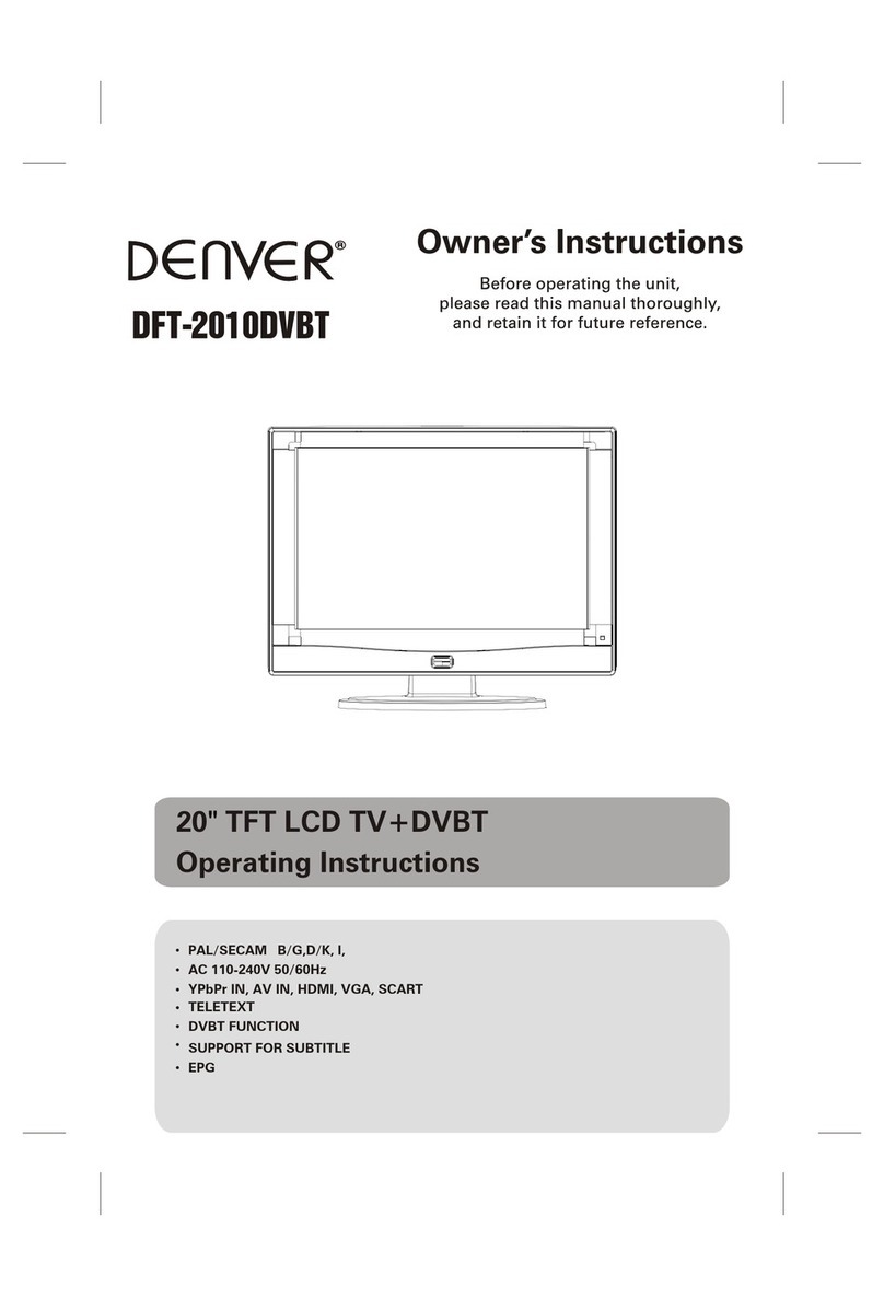 Denver DFT-2010DVBT User manual