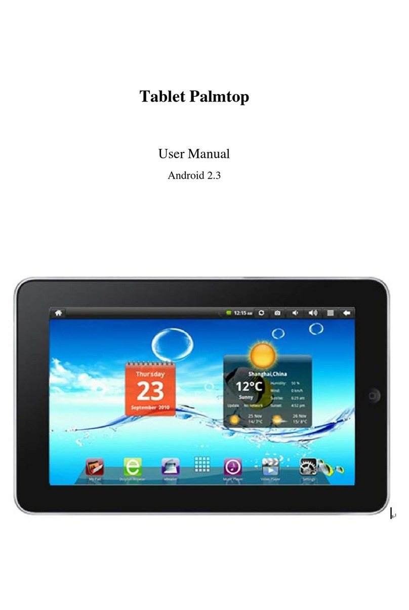 Global Phoenix MID M1006S User manual