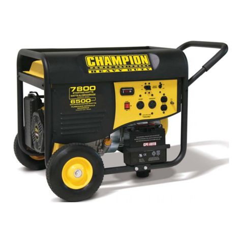 Champion Power Equipment 41351 Manual
